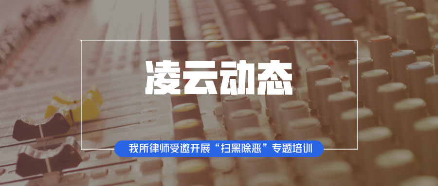 凌云动态 | 我所律师受邀开展“扫黑除恶”专题...