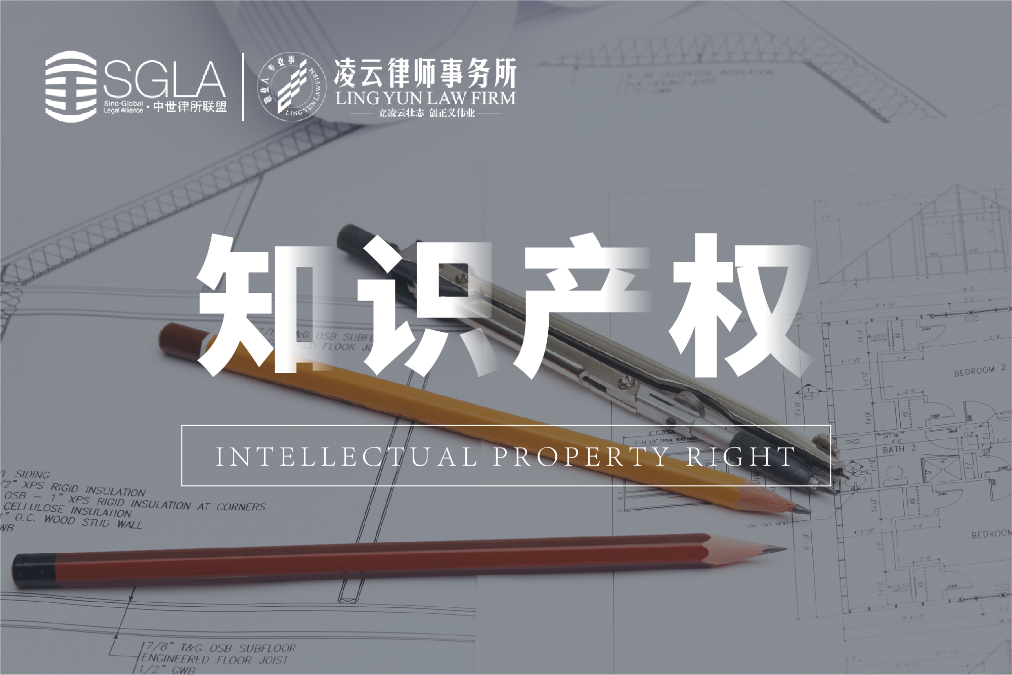 知识产权