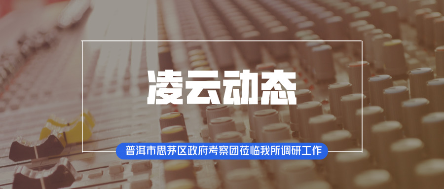 凌云动态 | 普洱市思茅区政府考察团莅临我所调...