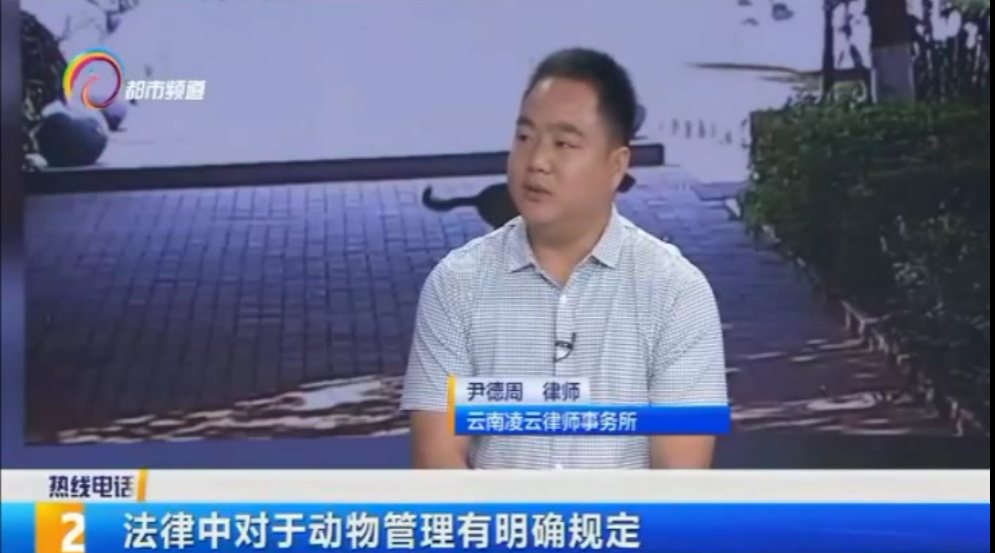 从法律角度来看，什么才是遛狗的正确方式？