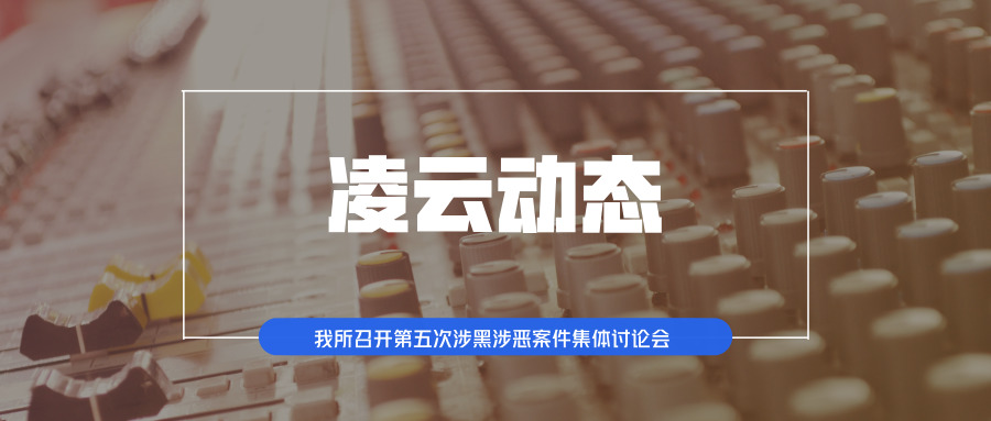 凌云动态 | 我所召开第五次涉黑涉恶案件集体讨...