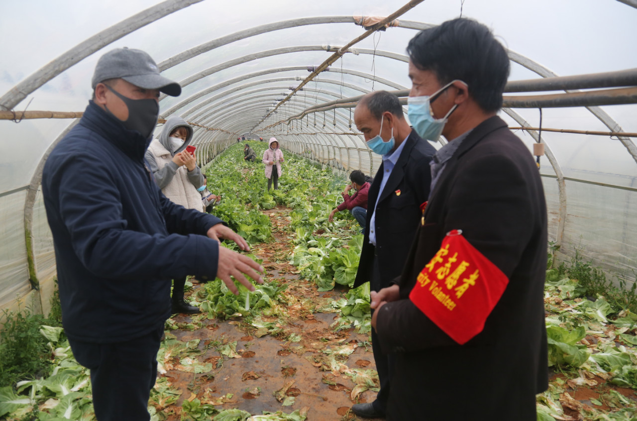 总有一种正能量的情怀在路上 | 凌云律师助力解...
