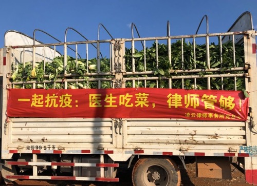 哪怕困难重重，也要为道义奋不顾身 | 凌云公益...
